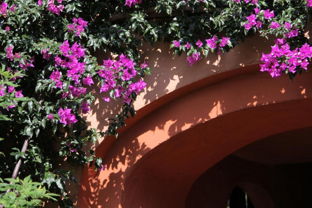 Hotel Castell'Verde Porto Vecchio Exterior foto